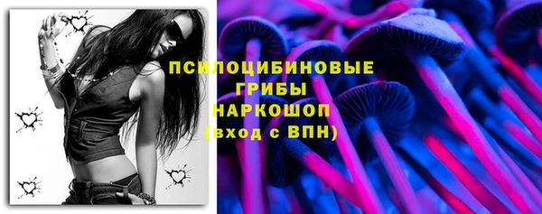 дурь Аркадак